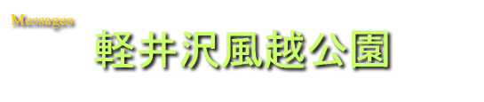 軽井沢の貸し別荘/貸別荘・コテージ　キッチン・バストイレ付きの宿