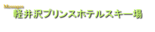 軽井沢の貸し別荘/貸別荘・コテージ　キッチン・バストイレ付きの宿