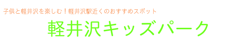 軽井沢の貸し別荘/貸別荘・コテージ　キッチン・バストイレ付きの宿