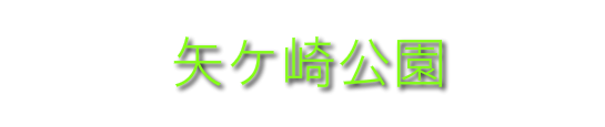 軽井沢駅近くのおすすめスポット！犬のお散歩や子供とあそぶのにちょうどよい矢ケ崎公園